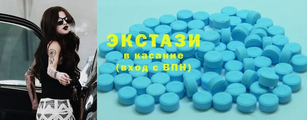сатива Лабытнанги