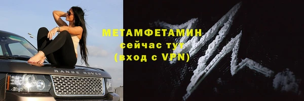 меф Менделеевск