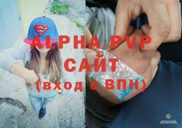 сатива Лабытнанги