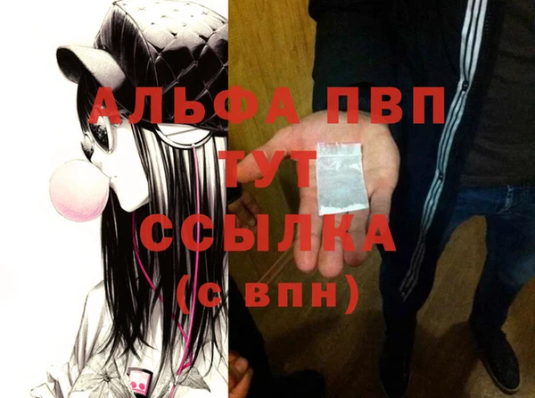 сатива Лабытнанги
