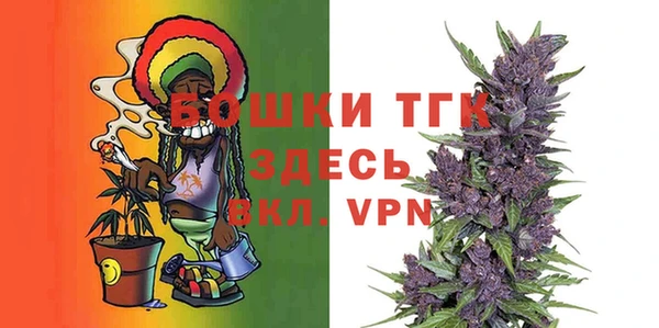 сатива Лабытнанги